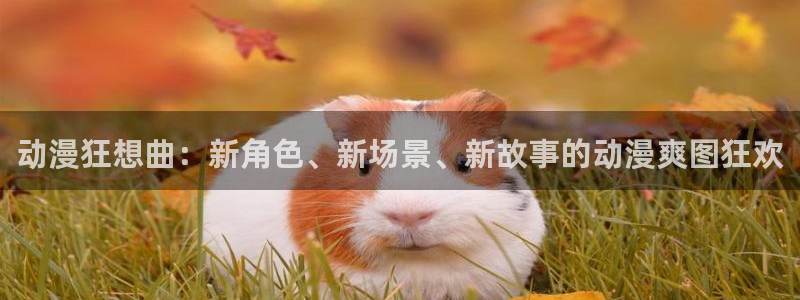 00兆赫漫画动漫之家：动漫狂想曲：新角色、新场景、新故事的动漫爽图狂欢